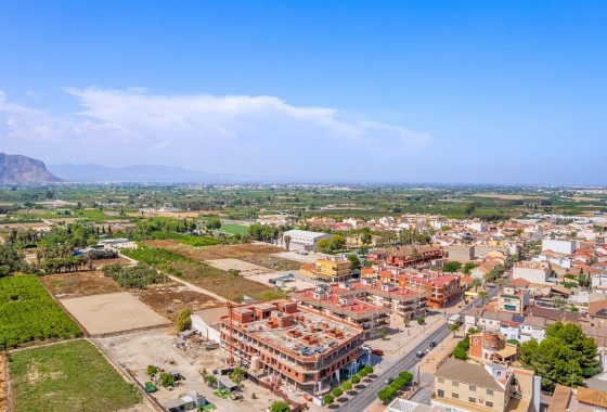 Obra nueva - Apartamento - Jacarilla - pueblo