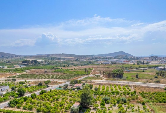 Obra nueva - Apartamento - Jacarilla - pueblo