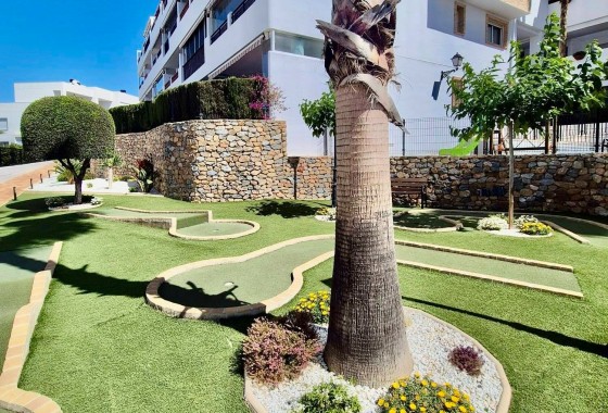 Segunda Mano - Apartamento - Orihuela Costa - Villamartín