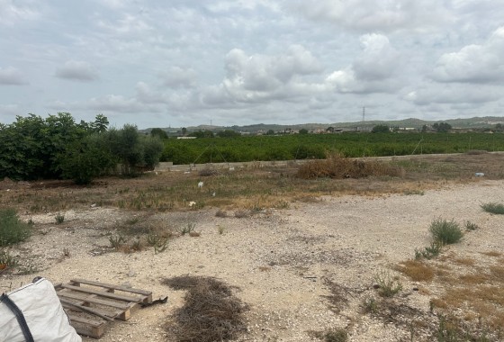 Resale - Industrial unit - Torremendo