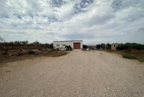 Resale - Industrial unit - Torremendo