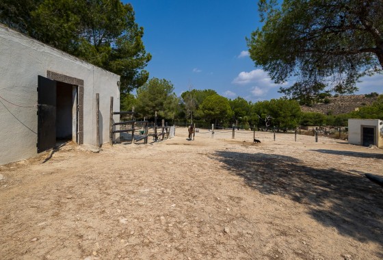 Revente - Villa - Torremendo