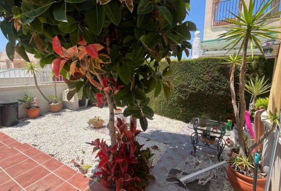 Revente - Villa - Algorfa