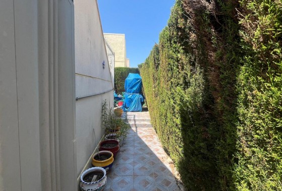 Revente - Villa - Algorfa