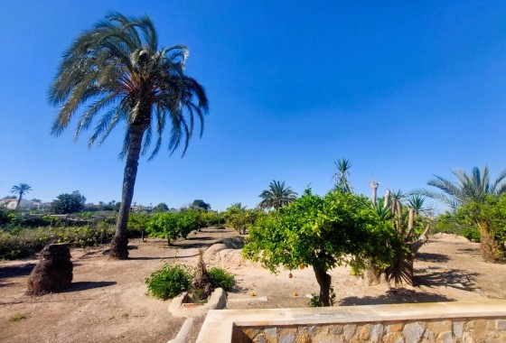 Segunda Mano - Masia - La marina - La Marina