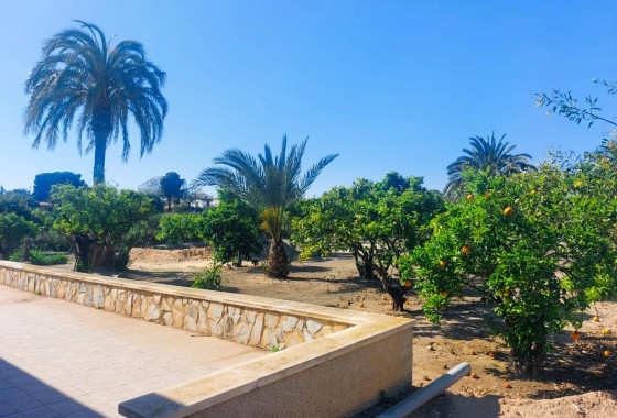 Segunda Mano - Masia - La marina - La Marina