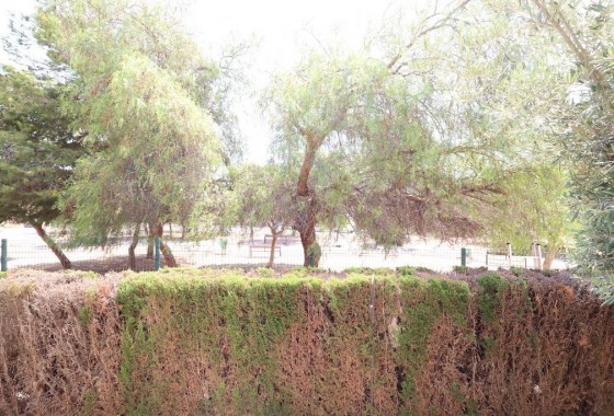 Revente - Bungalow - Orihuela Costa - Punta Prima