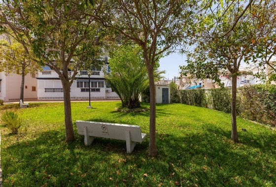 Revente - Bungalow - Torrevieja - Cañada del Molino