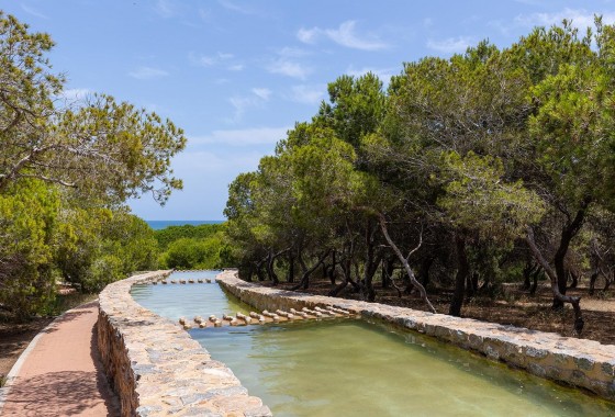 Revente - Bungalow - Torrevieja - Cañada del Molino