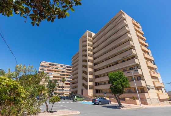 Segunda Mano - Apartamento - Torrevieja - Cabo cervera