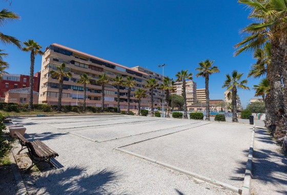 Segunda Mano - Apartamento - Torrevieja - Cabo cervera