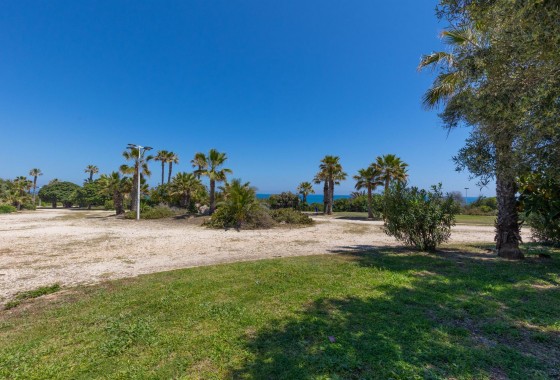 Segunda Mano - Apartamento - Torrevieja - Cabo cervera