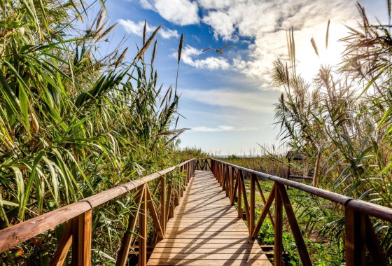 Segunda Mano - Apartamento - Torrevieja - La Mata