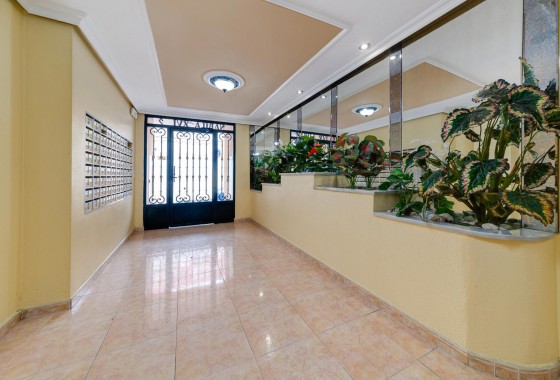 Segunda Mano - Apartamento - Torrevieja - Centro