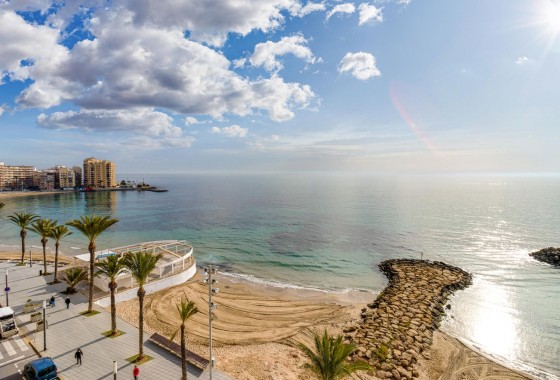 Segunda Mano - Apartamento - Torrevieja - Centro