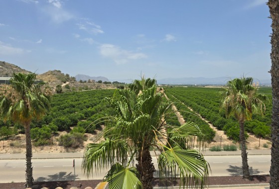 Revente - Semi Detached House - Algorfa - La Finca Golf Resort