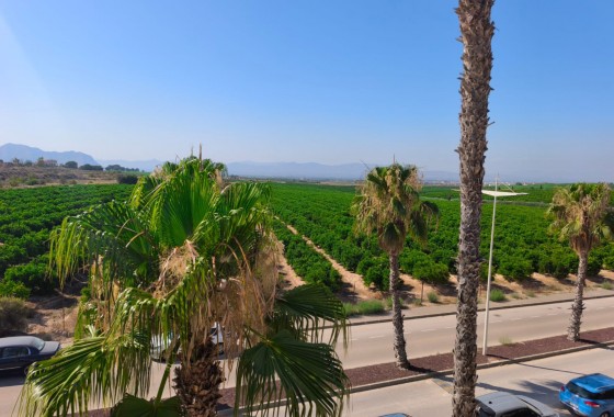 Revente - Semi Detached House - Algorfa - La Finca Golf Resort