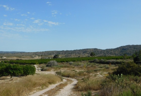 Revente - Terrain - Torremendo