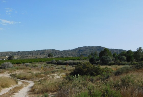 Revente - Terrain - Torremendo