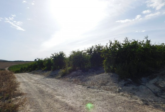 Revente - Terrain - Torremendo