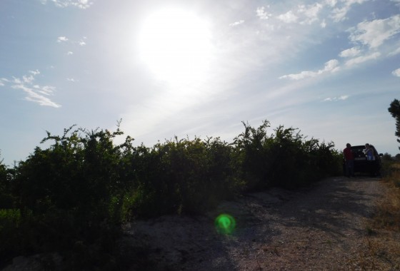 Revente - Terrain - Torremendo