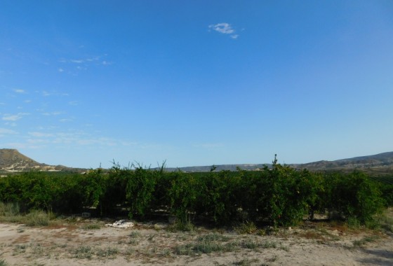 Revente - Terrain - Torremendo