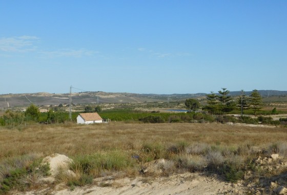 Revente - Terrain - Torremendo