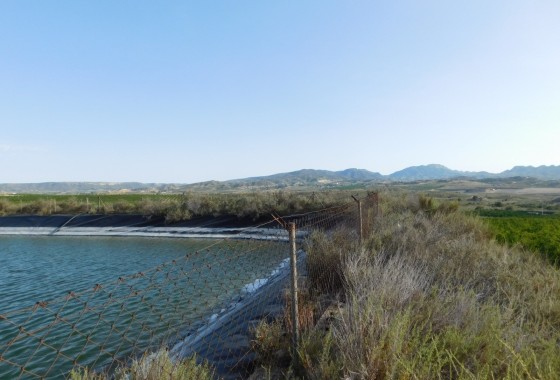 Revente - Terrain - Torremendo