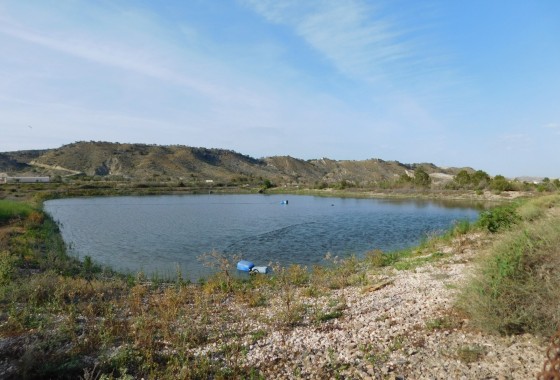 Revente - Terrain - Torremendo