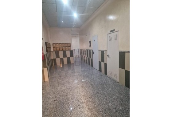 Segunda Mano - Apartamento - Torrevieja - Paseo maritimo