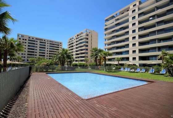 Segunda Mano - Apartamento - Torrevieja - Punta prima