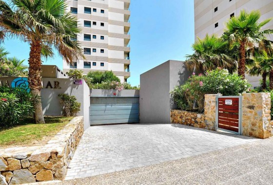 Segunda Mano - Apartamento - Torrevieja - Punta prima