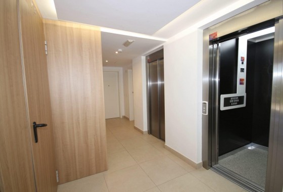 Segunda Mano - Apartamento - Torrevieja - Punta prima