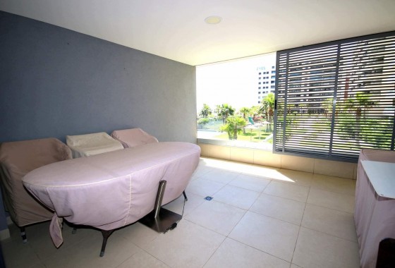 Segunda Mano - Apartamento - Torrevieja - Punta prima