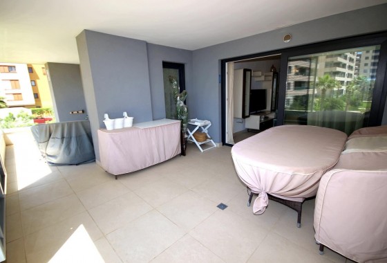 Segunda Mano - Apartamento - Torrevieja - Punta prima