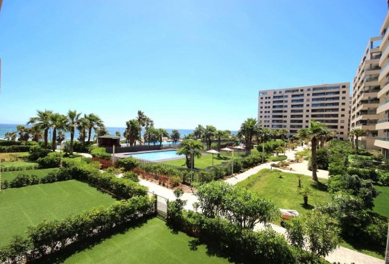 Segunda Mano - Apartamento - Torrevieja - Punta prima