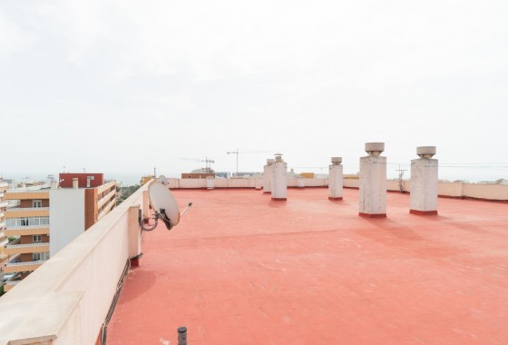 Revente - Appartement - Torrevieja - torrevieja