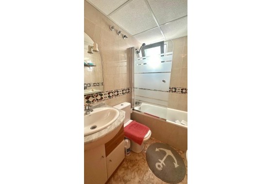 Segunda Mano - Apartamento - Torrevieja - torrevieja