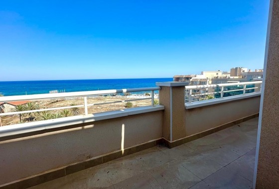 Segunda Mano - Apartamento - Torrevieja - torrevieja