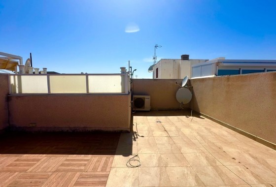 Segunda Mano - Apartamento - Torrevieja - torrevieja