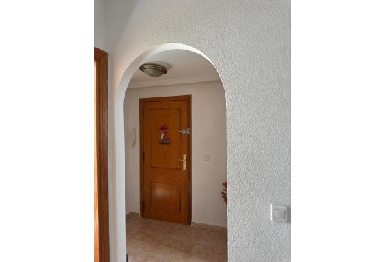 Segunda Mano - Apartamento - Torrevieja - torrevieja