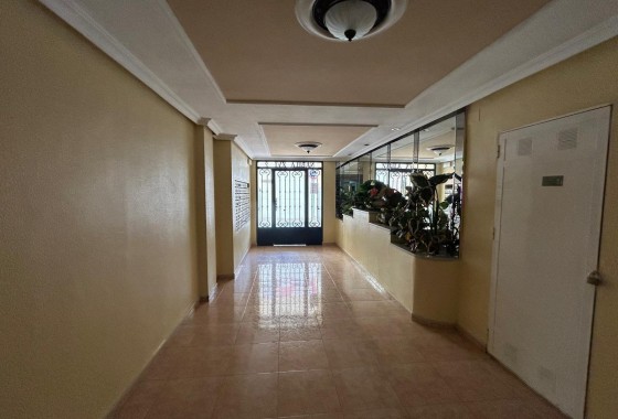 Segunda Mano - Apartamento - Torrevieja - torrevieja