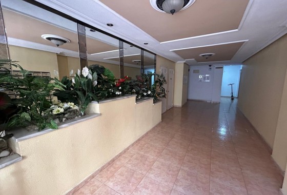 Segunda Mano - Apartamento - Torrevieja - torrevieja