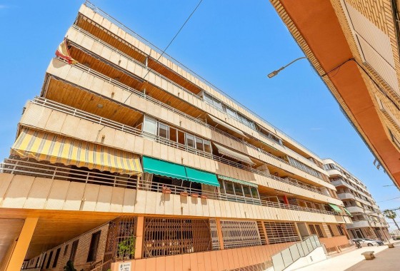 Revente - Appartement - Torrevieja - Acequion