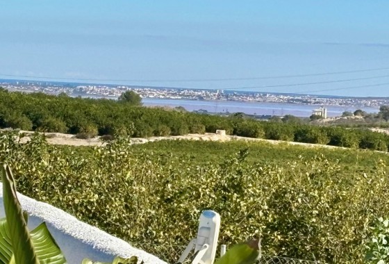 Revente - Maison de ville - San Miguel de Salinas - Pueblo 9