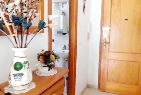 Segunda Mano - Apartamento - Torrevieja - Estacion de autobuses