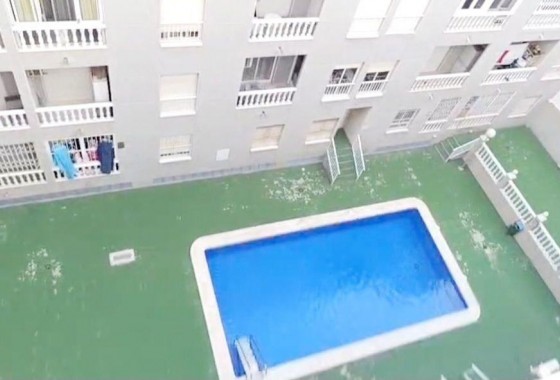 Segunda Mano - Apartamento - Torrevieja - Estacion de autobuses