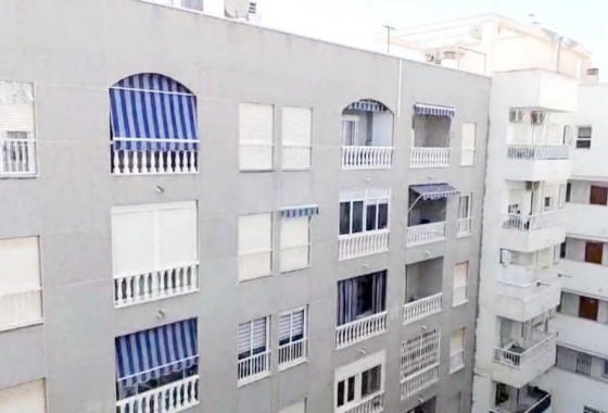 Segunda Mano - Apartamento - Torrevieja - Estacion de autobuses