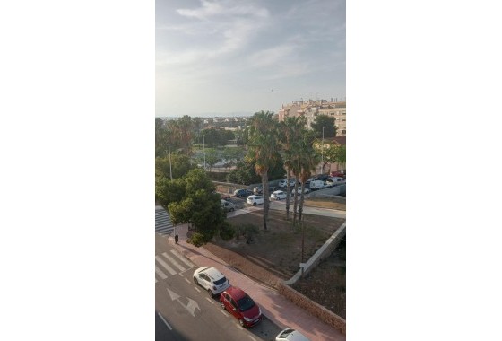 Segunda Mano - Apartamento - Torrevieja - Acequion