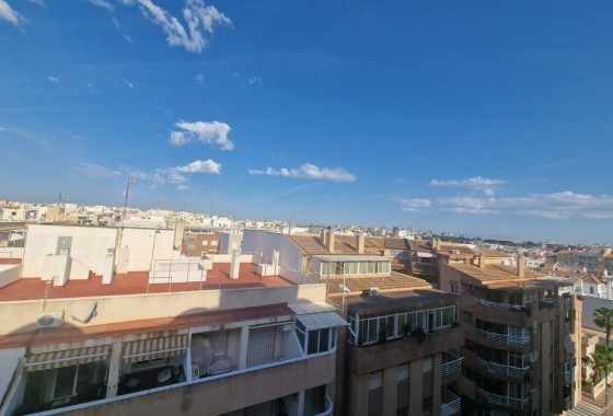 Segunda Mano - Apartamento - Torrevieja - torrevieja